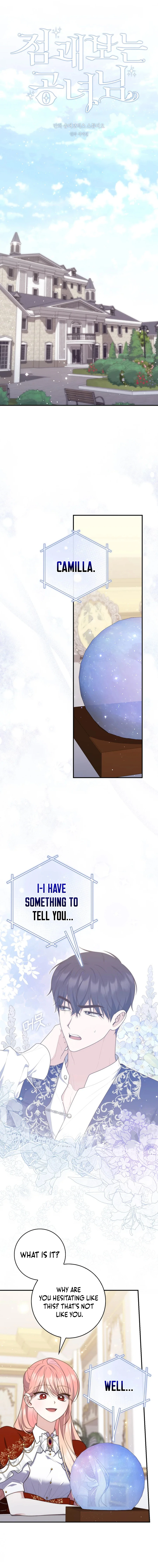 Read A Fortune-Telling Princess  Manga Online