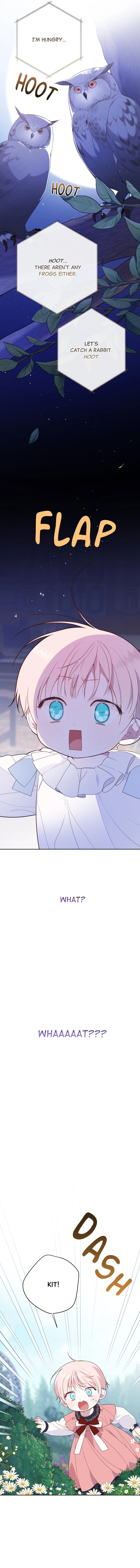 Read Baby Tyrant Manga Online