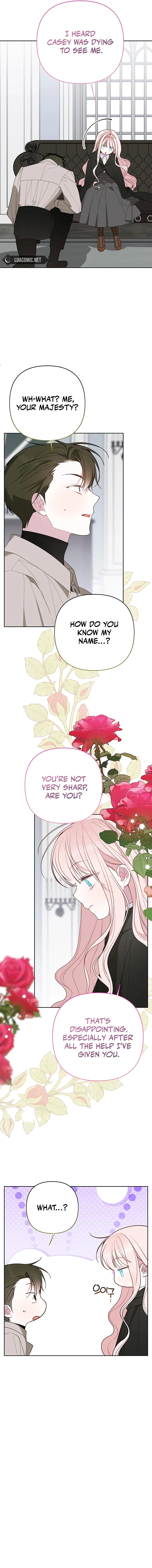 Read Baby Tyrant Manga Online