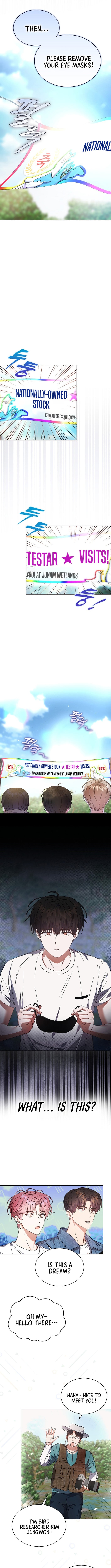 Read Debut or Die! Manga Online