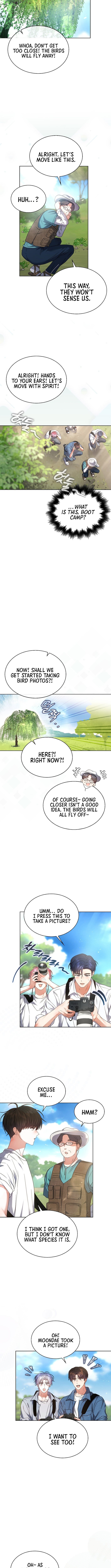 Read Debut or Die! Manga Online