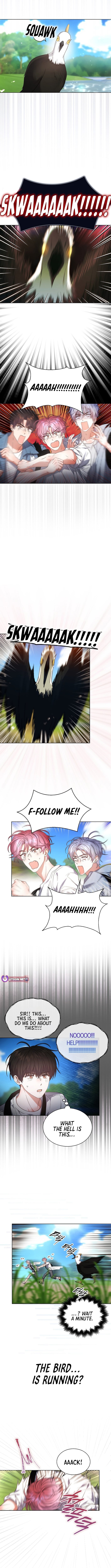 Read Debut or Die! Manga Online