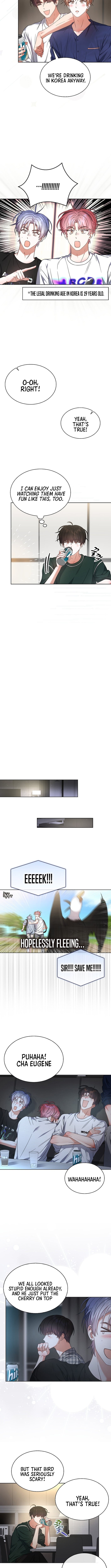 Read Debut or Die! Manga Online