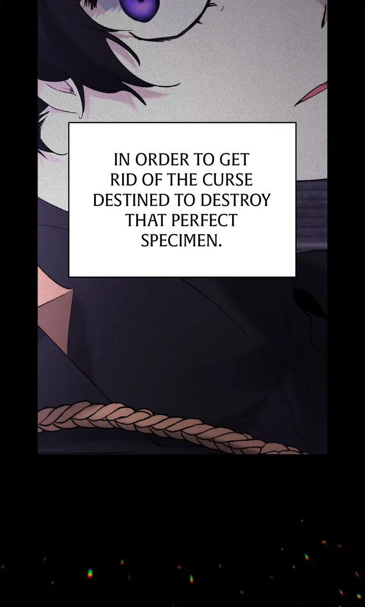 Read I Need to Raise My Sister Properly  Manga Online