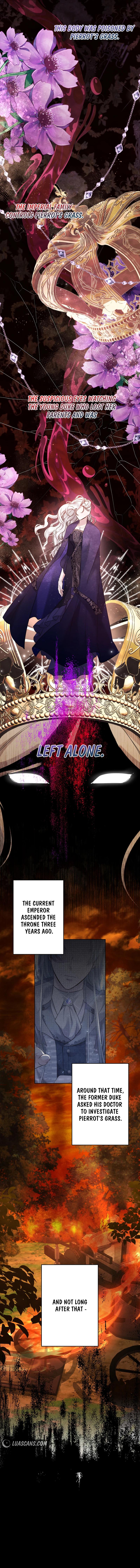 Read I Need to Raise My Sister Properly  Manga Online