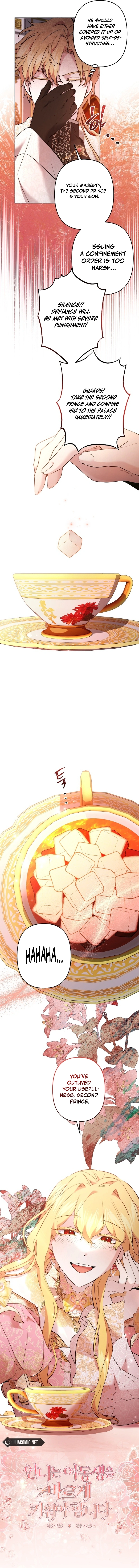 Read I Need to Raise My Sister Properly  Manga Online