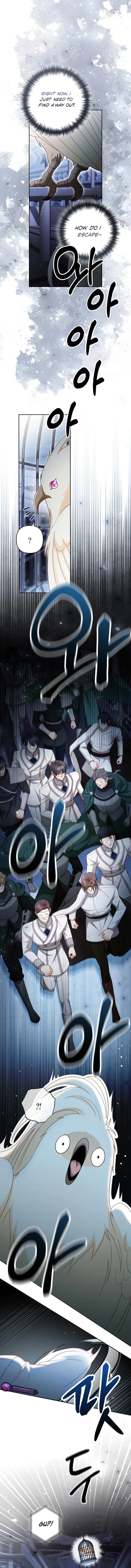 Read Remarried Empress  Manga Online