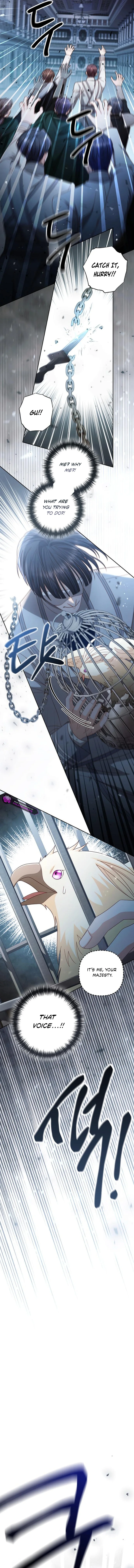 Read Remarried Empress  Manga Online