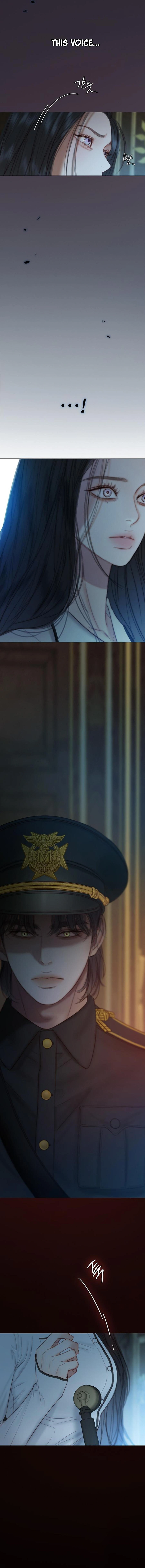 Read Serena Manga Online