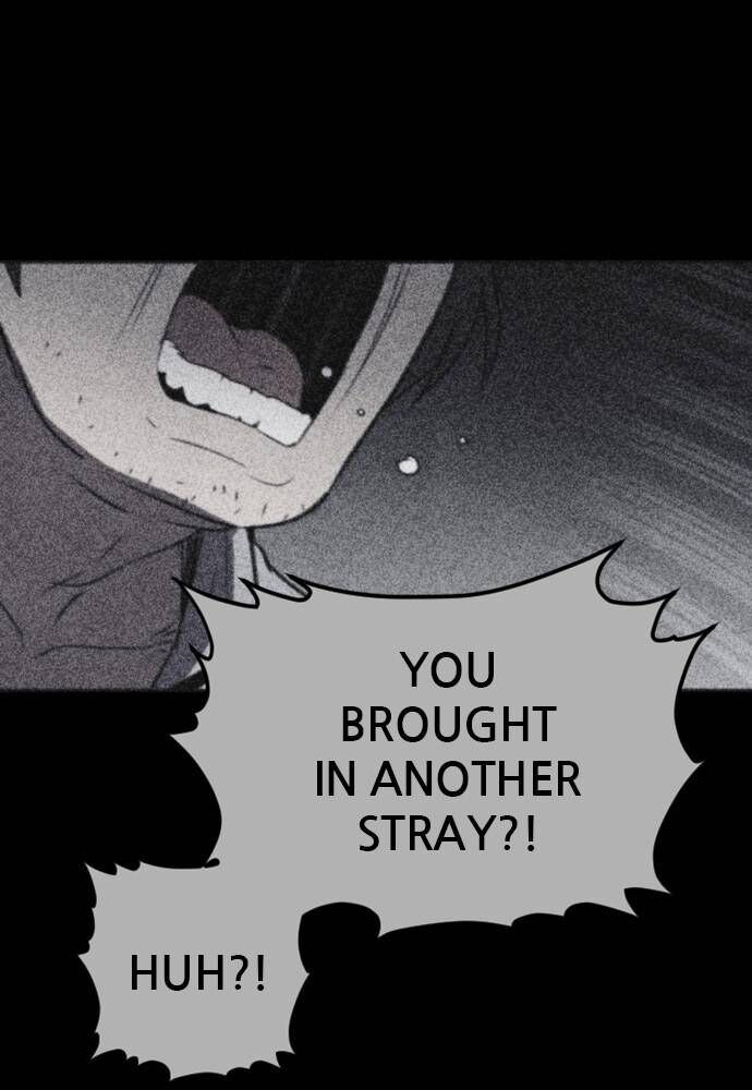 Read Shotgun Boy Manga Online