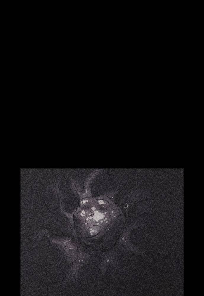 Read Shotgun Boy Manga Online