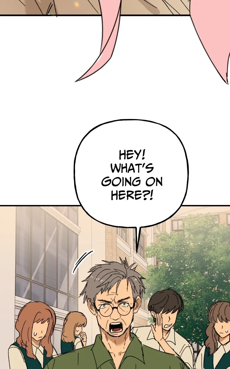 Read Superfish Manga Online