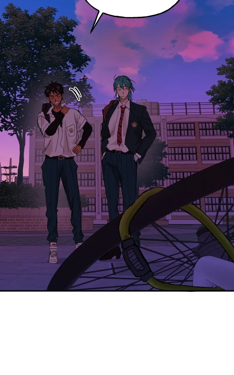 Read Superfish Manga Online