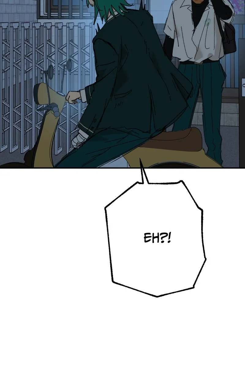 Read Superfish Manga Online