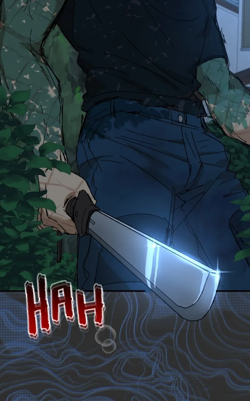 Read Superfish Manga Online