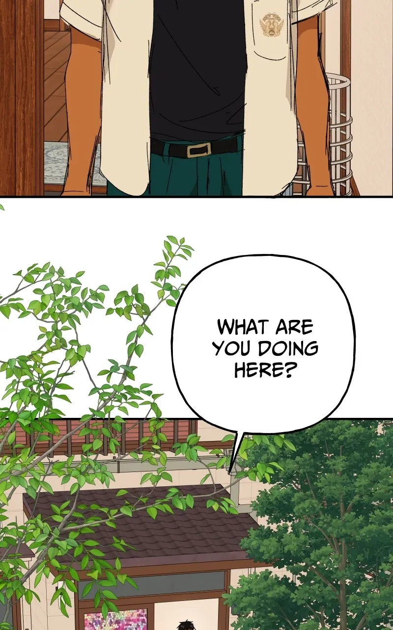 Read Superfish Manga Online