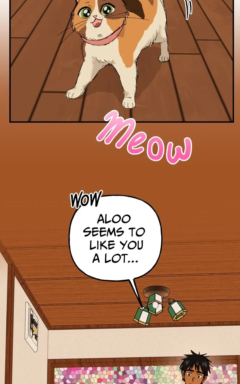 Read Superfish Manga Online