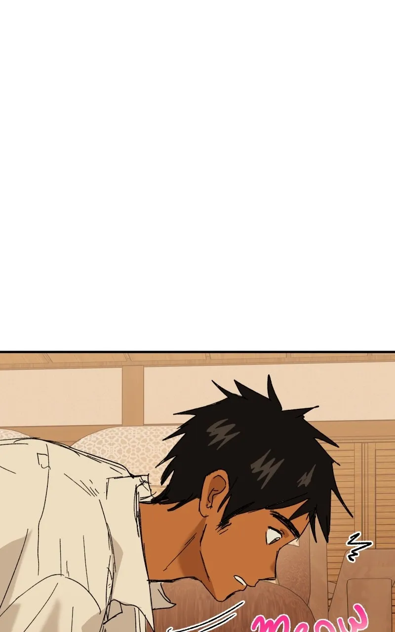 Read Superfish Manga Online