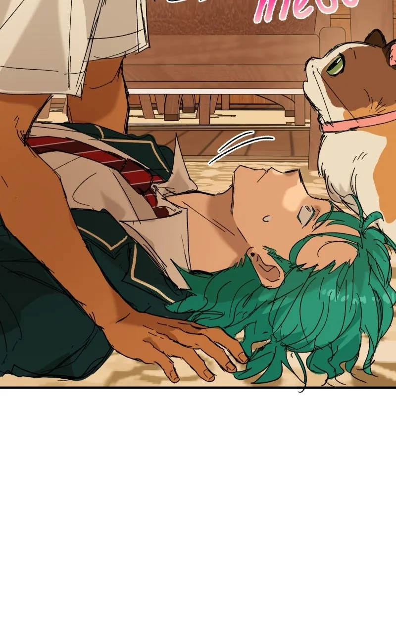 Read Superfish Manga Online