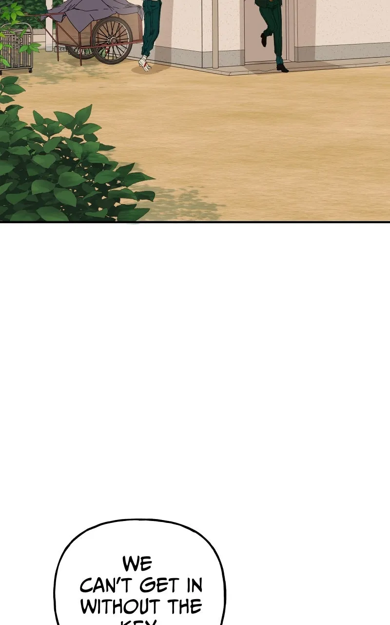 Read Superfish Manga Online