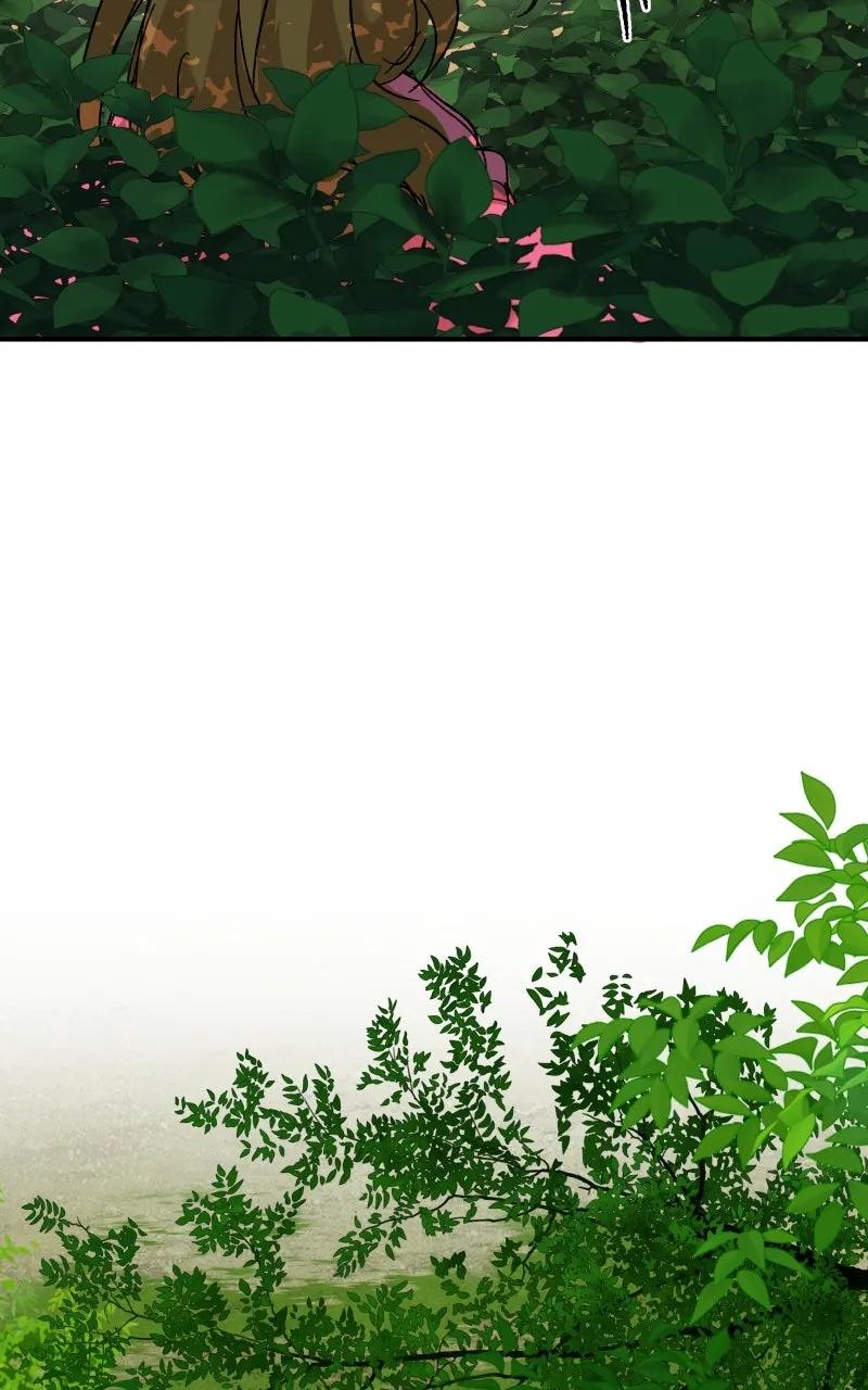 Read Superfish Manga Online