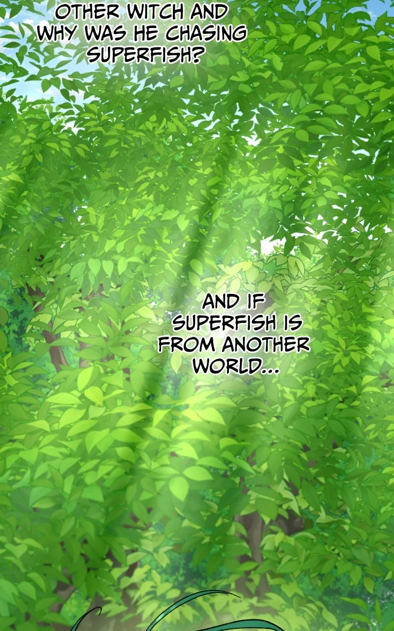 Read Superfish Manga Online