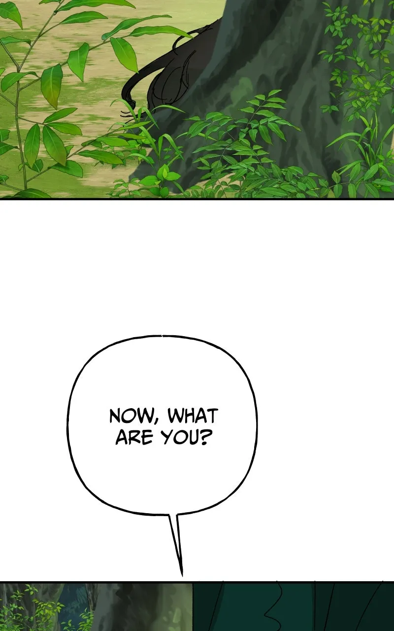 Read Superfish Manga Online