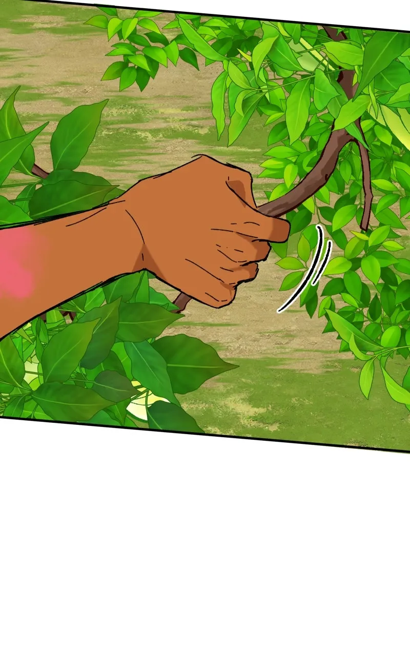 Read Superfish Manga Online