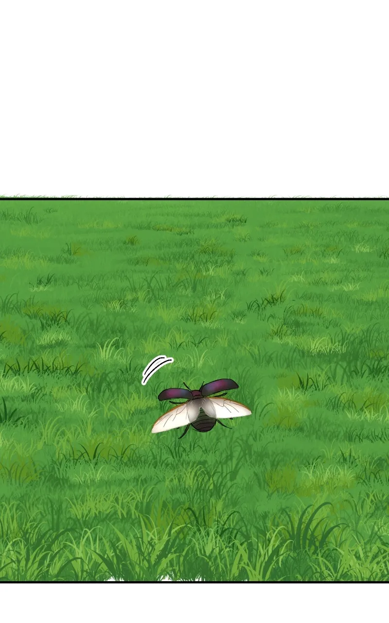 Read Superfish Manga Online