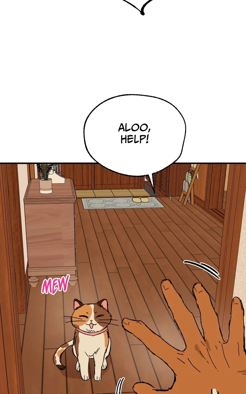 Read Superfish Manga Online