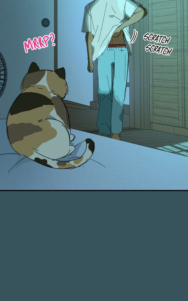 Read Superfish Manga Online