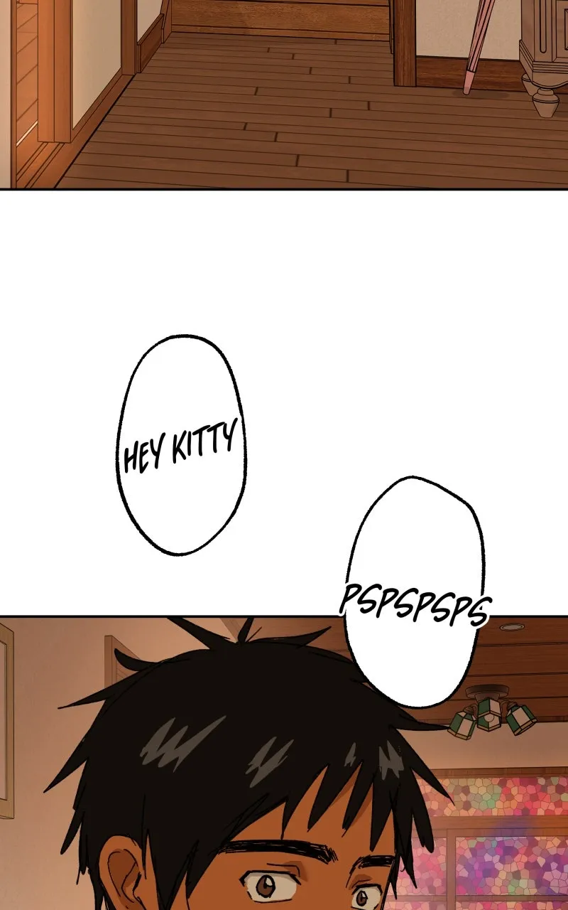 Read Superfish Manga Online