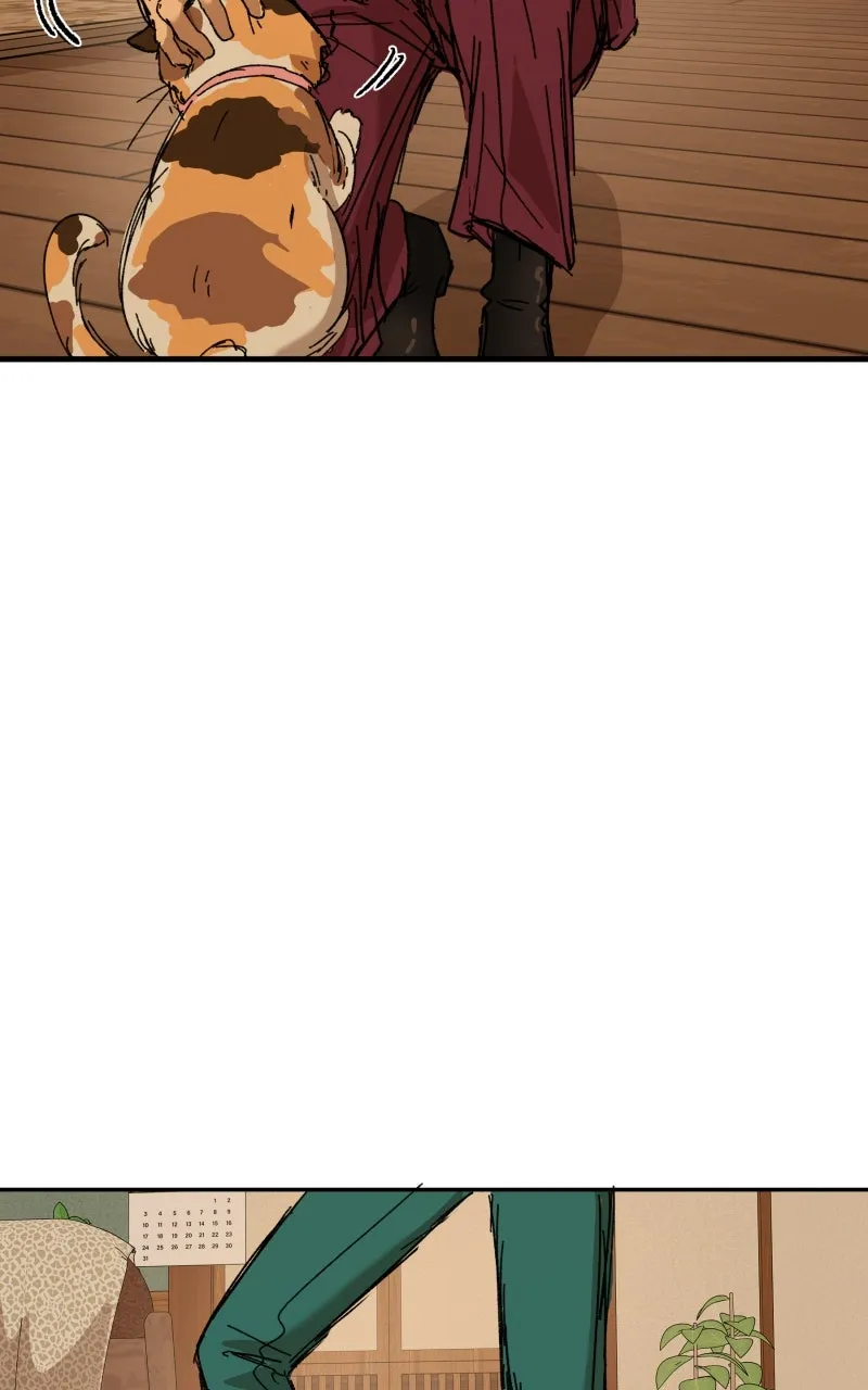 Read Superfish Manga Online