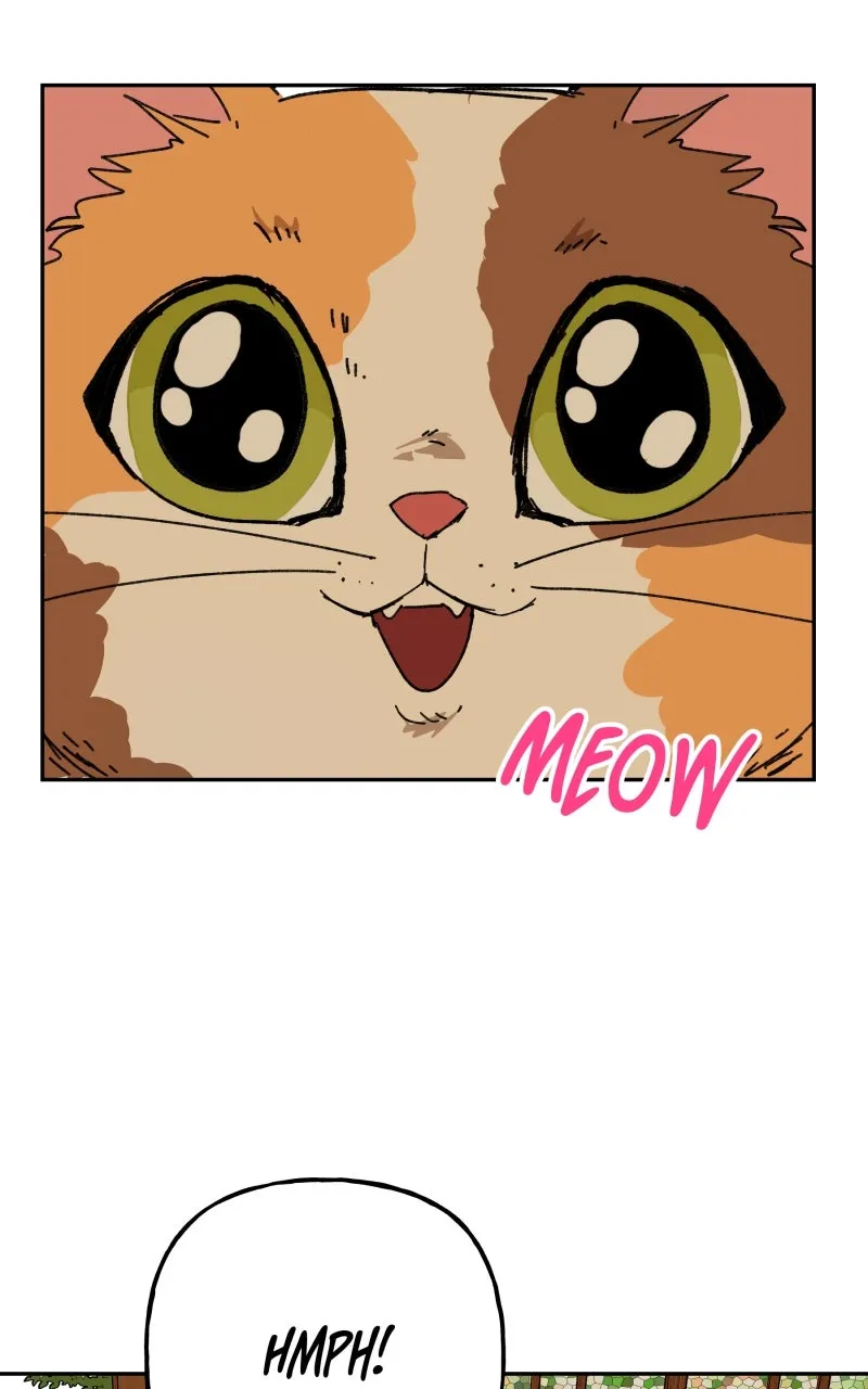 Read Superfish Manga Online