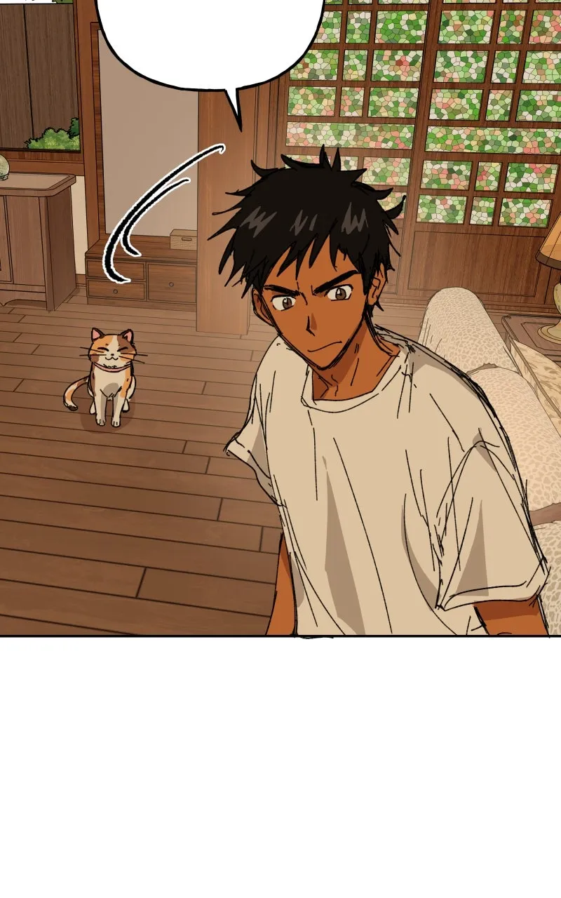 Read Superfish Manga Online