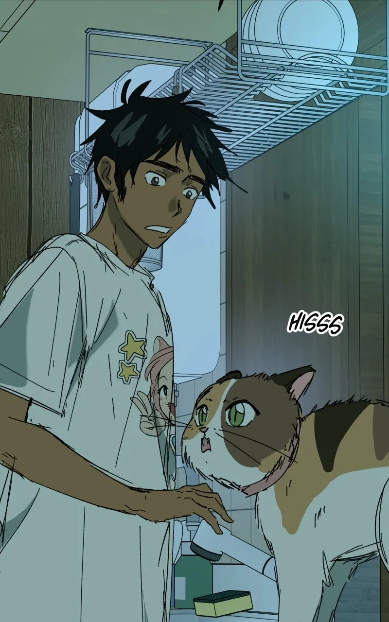 Read Superfish Manga Online