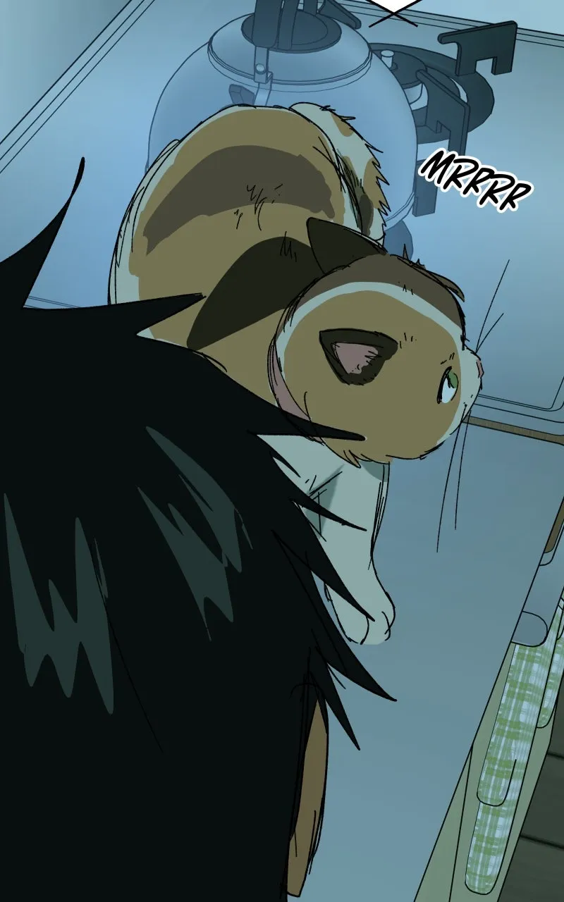 Read Superfish Manga Online