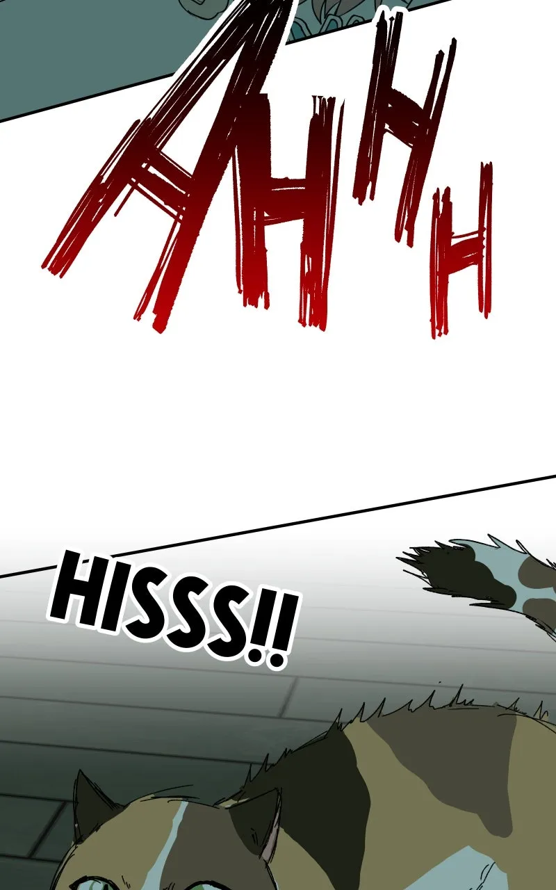 Read Superfish Manga Online