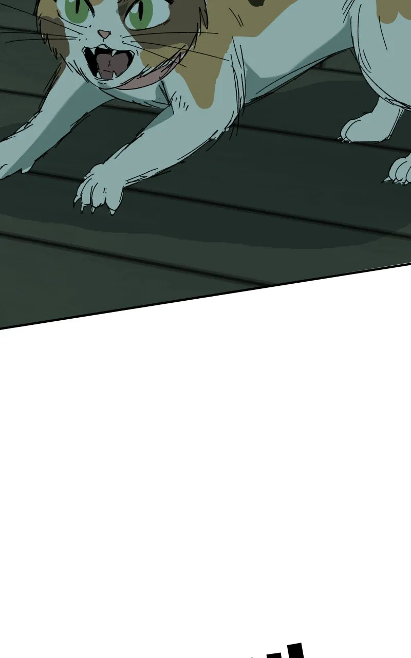 Read Superfish Manga Online