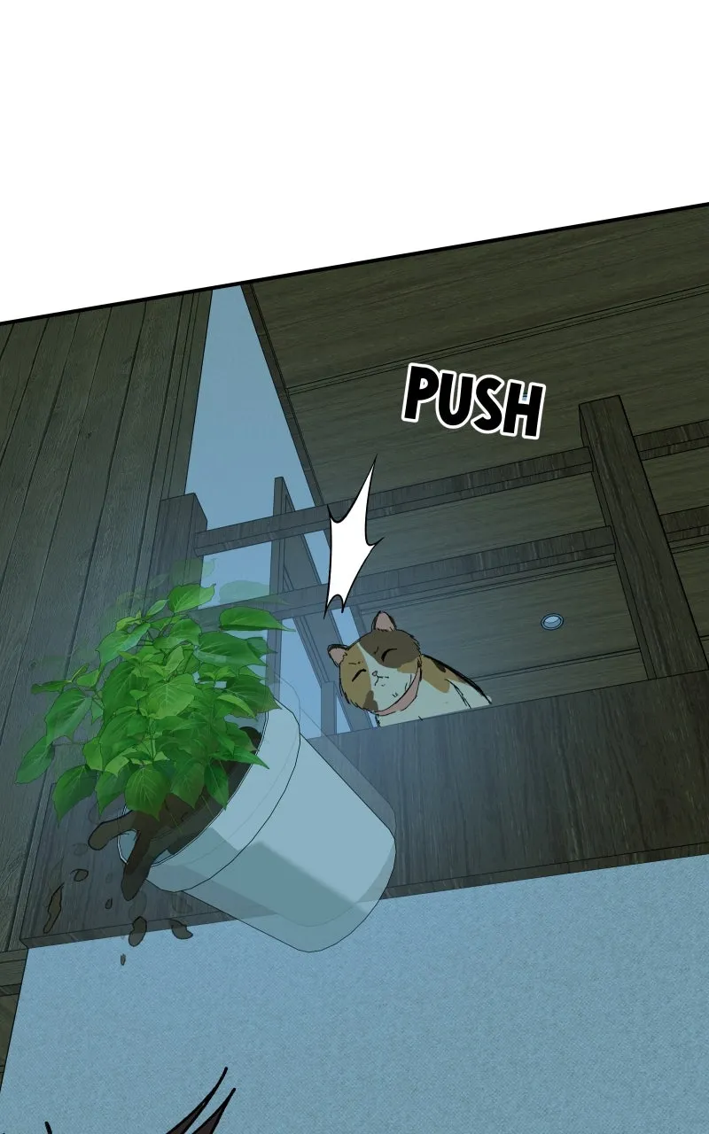 Read Superfish Manga Online