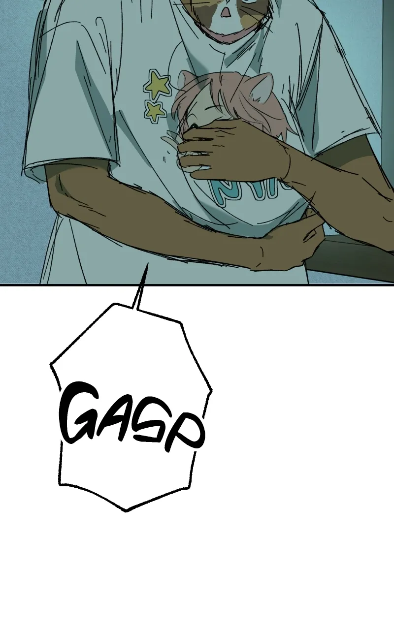 Read Superfish Manga Online