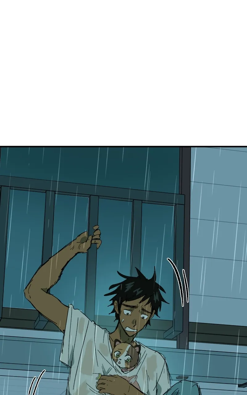 Read Superfish Manga Online