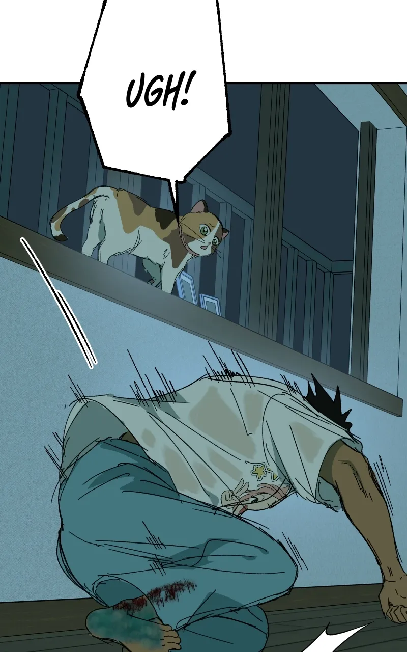 Read Superfish Manga Online