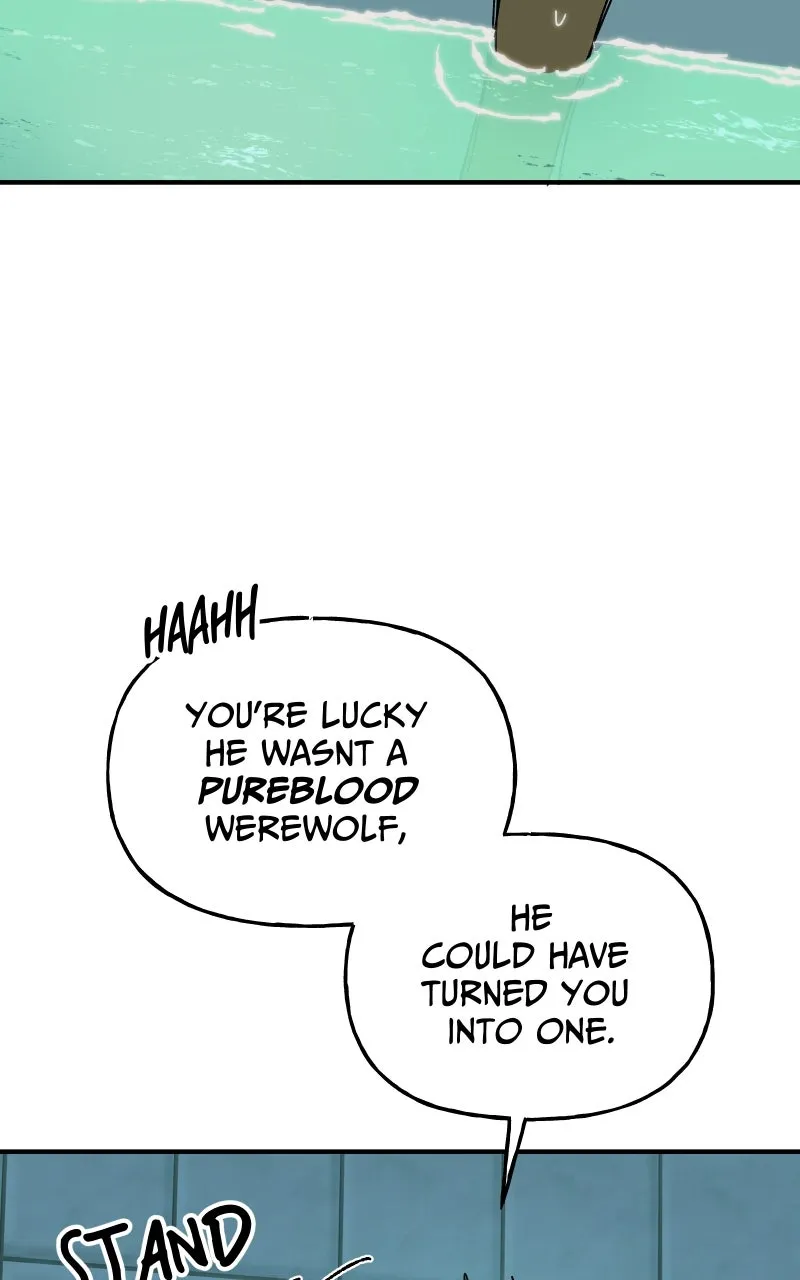 Read Superfish Manga Online