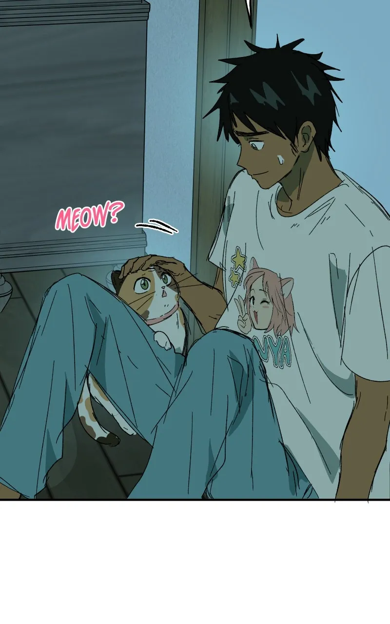 Read Superfish Manga Online