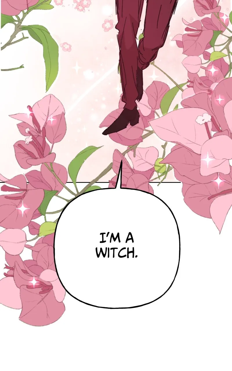 Read Superfish Manga Online