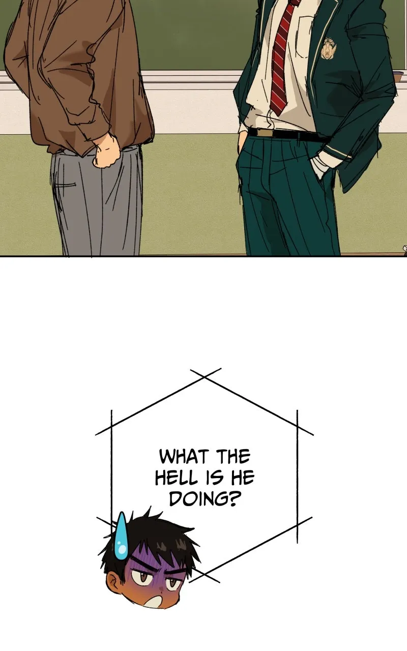 Read Superfish Manga Online