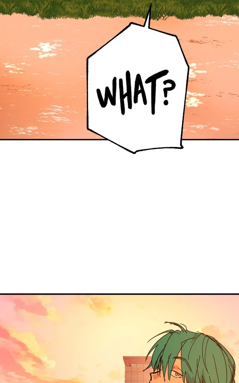 Read Superfish Manga Online