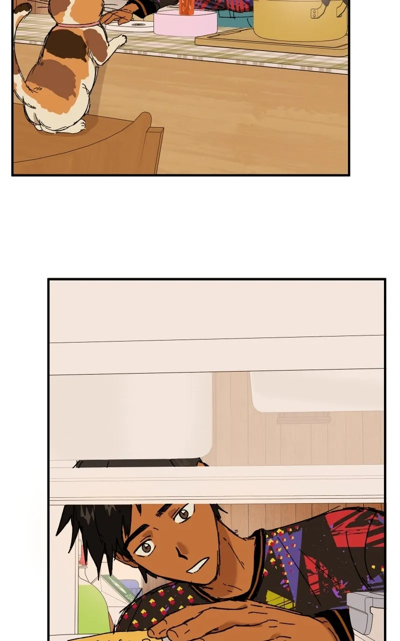 Read Superfish Manga Online