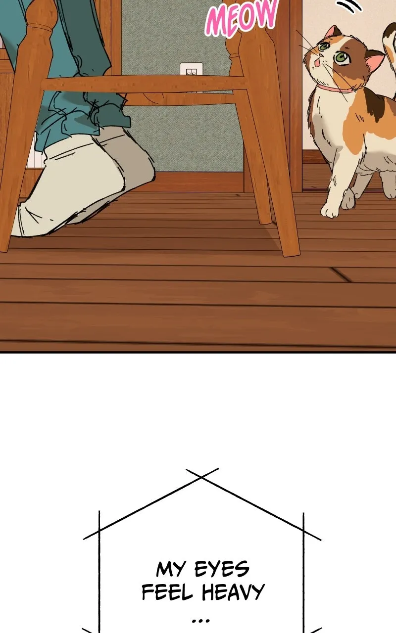 Read Superfish Manga Online